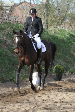 Bild 1166 - WBO-Turnier am 9.4.11